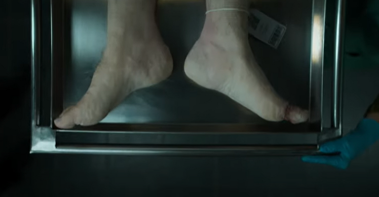 بيتر فان دين بيجن