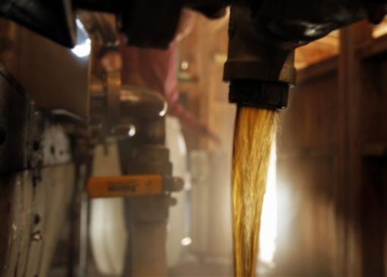 شراب القيقب