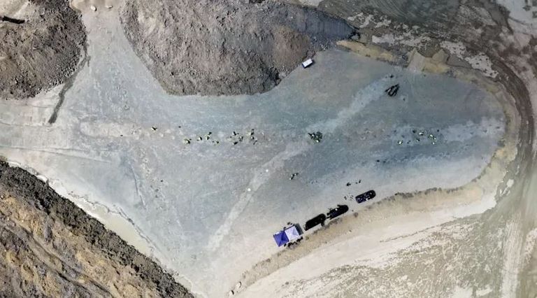 رسم تخيلي لديناصورات