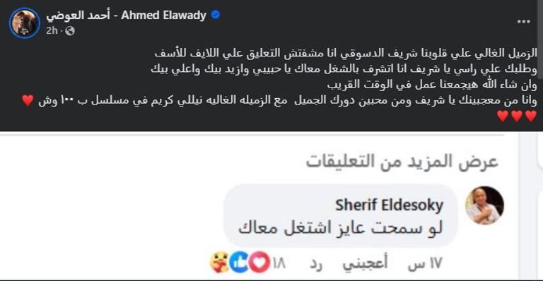 الفنان شريف دسوقي