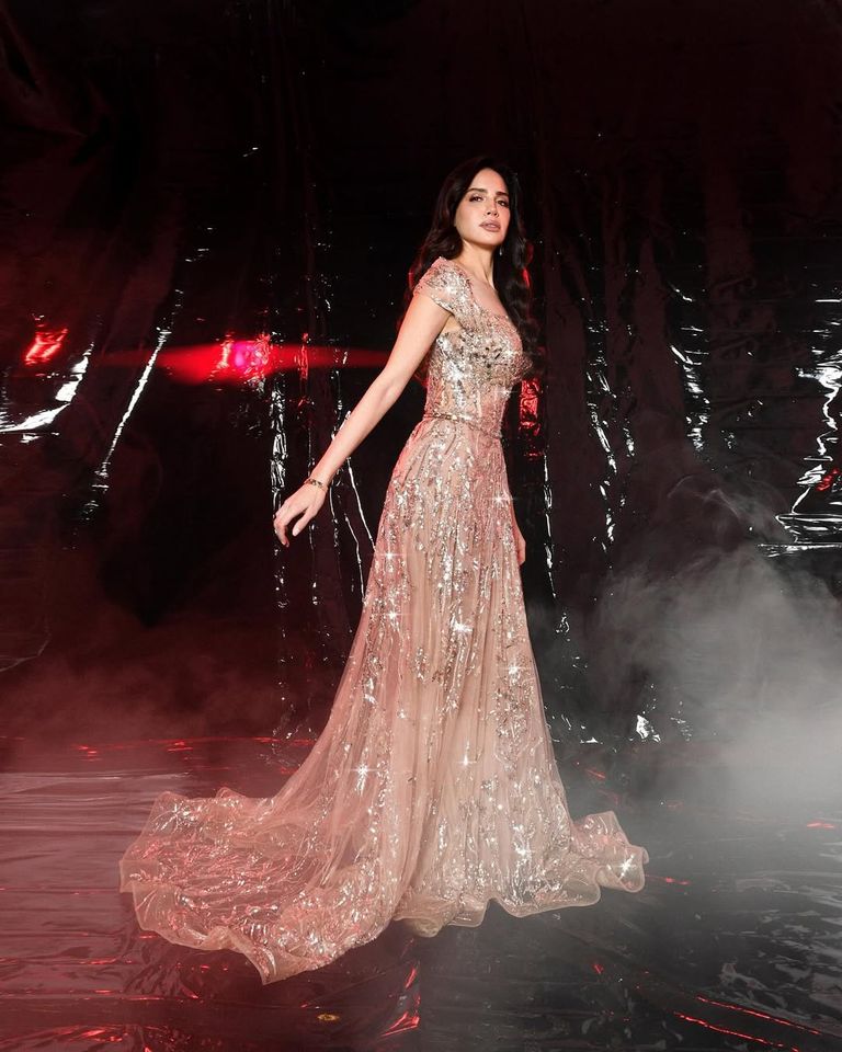 الفنانة آمال ماهر