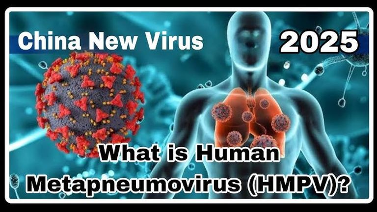 الفيروس الرئوي البشري HMPV