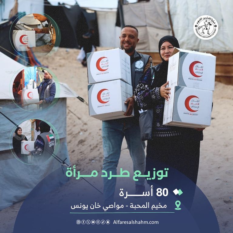 قافلة مساعدات إماراتية تدخل إلى قطاع غزة