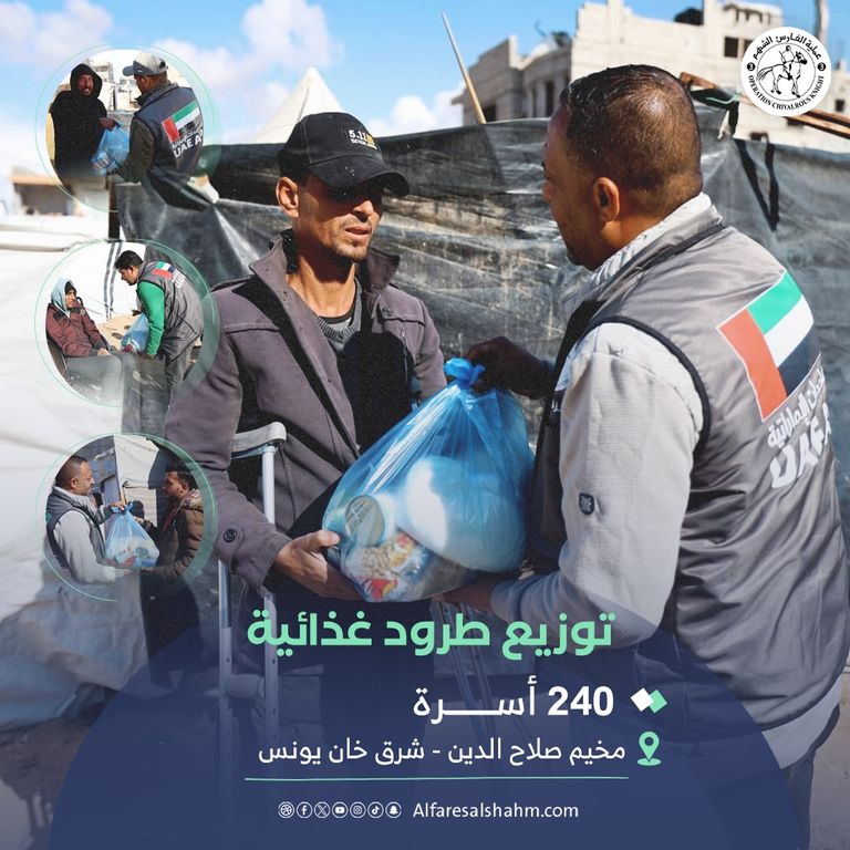 قافلة مساعدات إماراتية تدخل إلى قطاع غزة