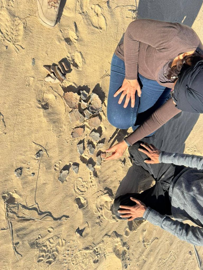 موقع اكتشاف اللقى الأثرية