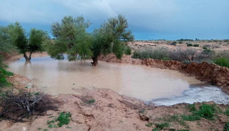 صورة من الأمطار الأخيرة في تونس