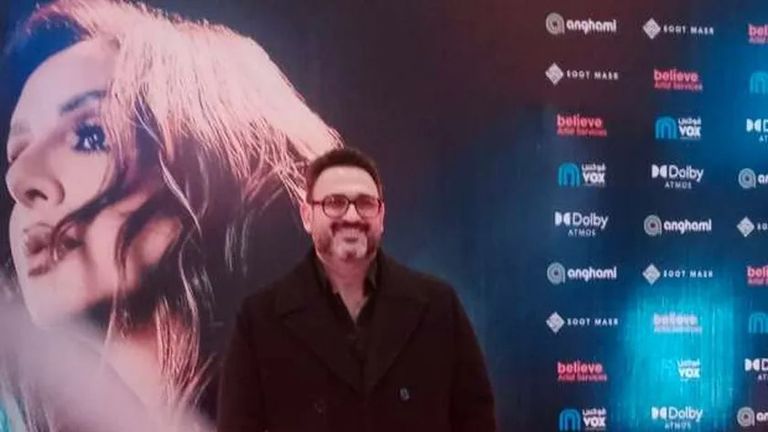 الفنانة أنغام