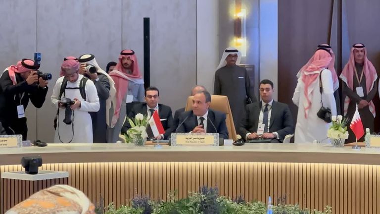 وزير خارجية مصر خلال مشاركته في اجتماع الرياض حول سوريا