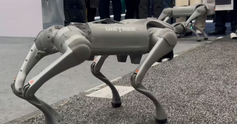 عرض شركة Unitree Robotics روبوتها رباعي الأرجل في معرض CES 2025 مؤتمر الإلكترونيات الاستهلاكية CES 2025