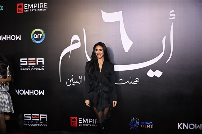 المؤلف وائل حمدي