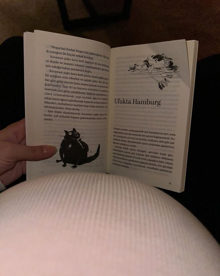 النجمة التركية نسليهان