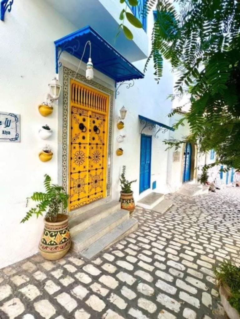 سيدي بوسعيد التونسية