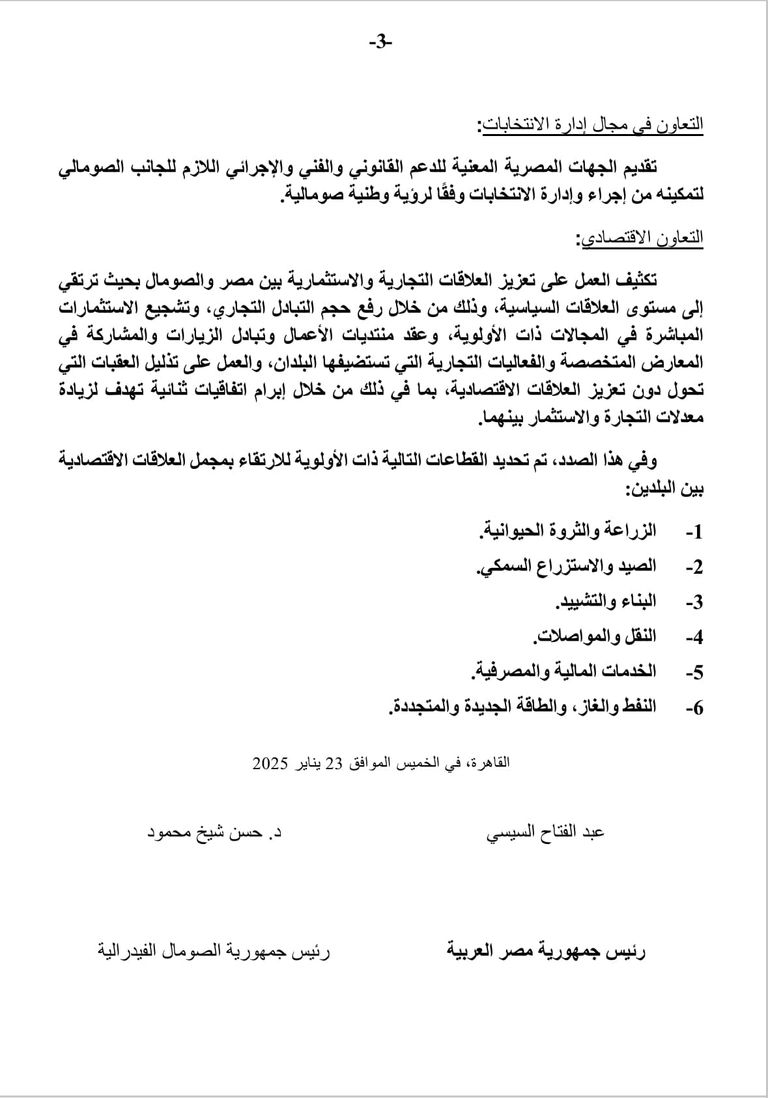 الرئيسان المصري عبدالفتاح السيسي والصومالي حسن شيخ محمود