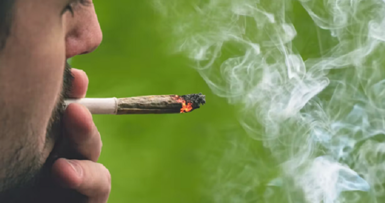 دخان الحشيش يحتوي على العديد من المواد الكيميائية الضارة