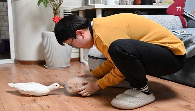 روبوتات اجتماعية أليفة في الصين للتغلب على الوحدة