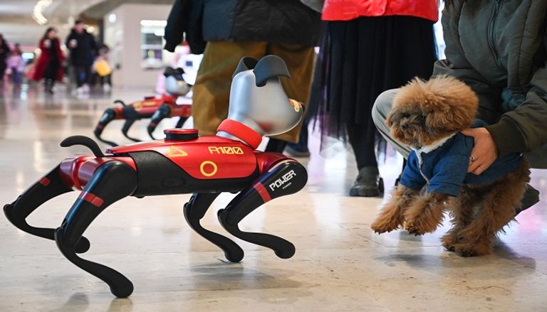 روبوتات اجتماعية أليفة في الصين للتغلب على الوحدة
