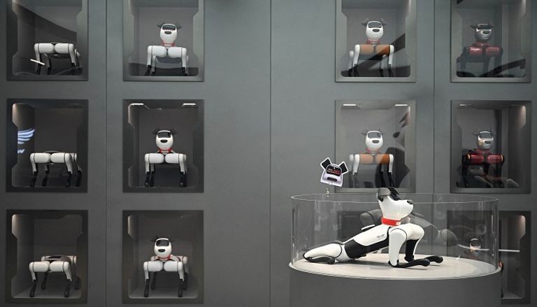 روبوتات اجتماعية أليفة في الصين للتغلب على الوحدة