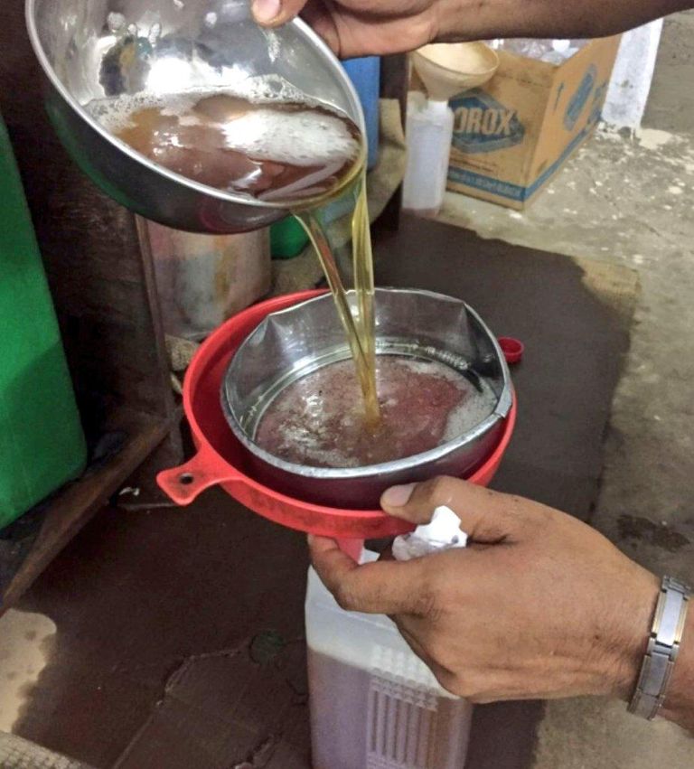 حصاد السمسم تظاهرة سنوية باليمن