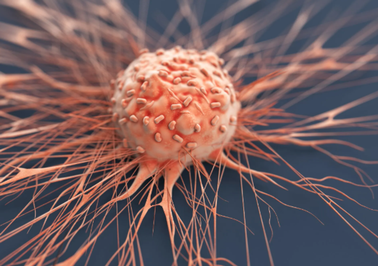 نهج مبتكر يحرك جهاز المناعة ضد «الأورام الباردة»