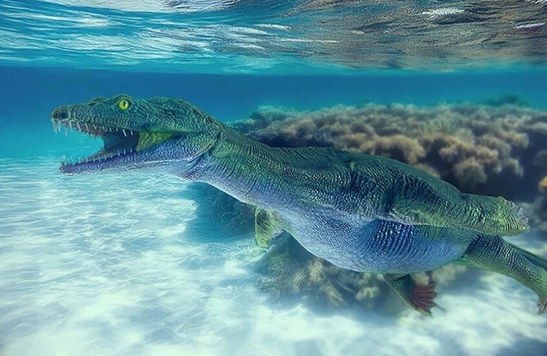 أحفورة زاحف بحري أحفورة زاحف بحري