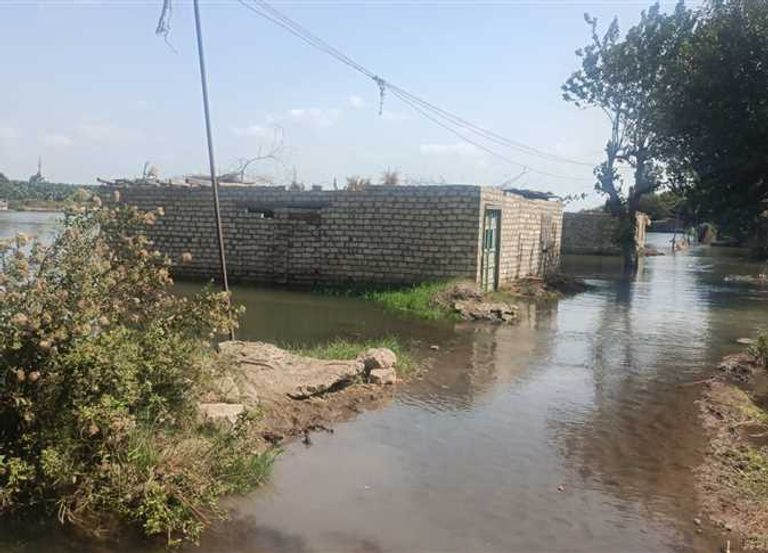 غرق أراضي طرح النهر في المنوفية