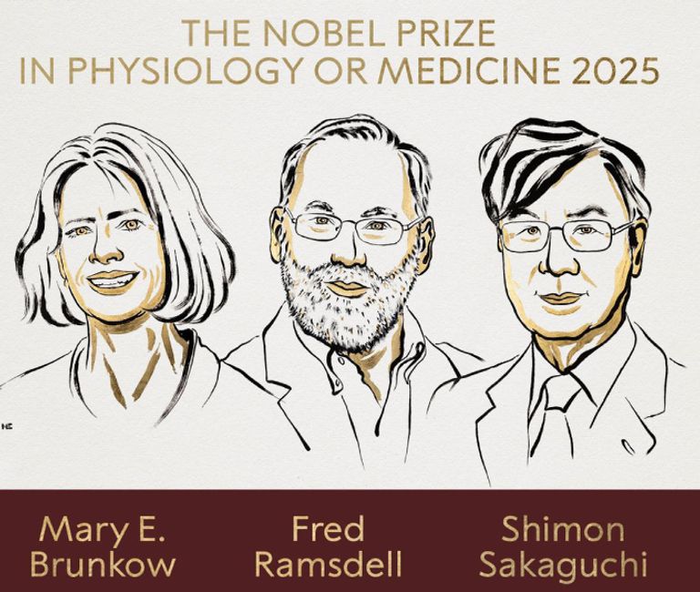 الفائزون بجائزة نوبل 2025 للطب الفائزون بجائزة نوبل 2025 للطب
