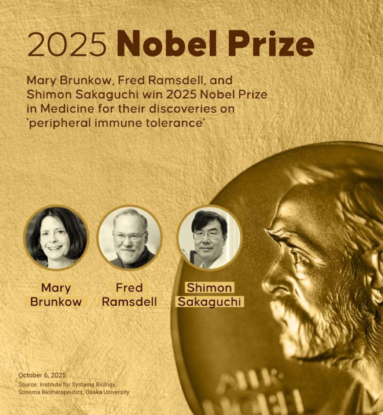 جائزة نوبل للطب 2025