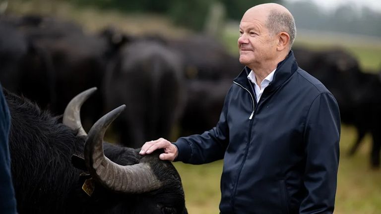 مستشار ألمانيا السابق- بيلد