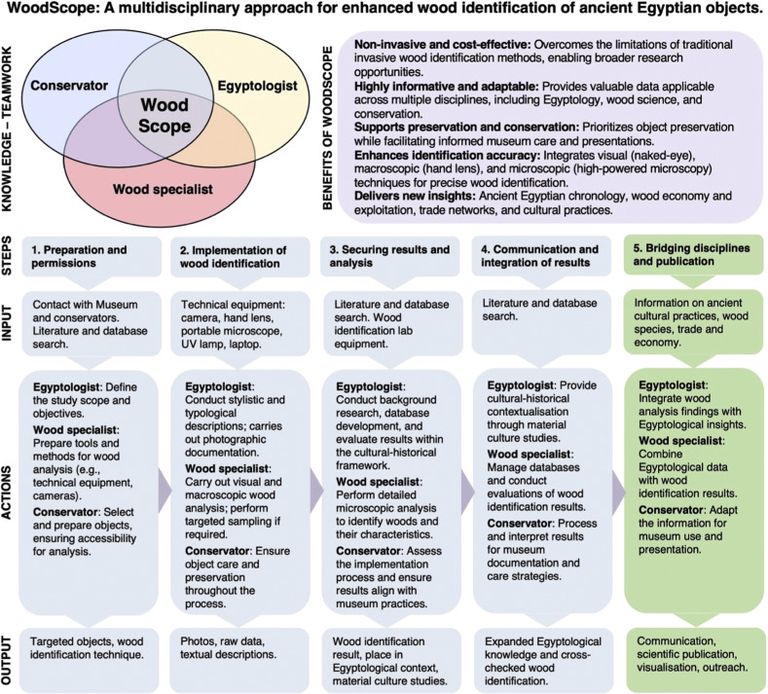 الباحثون حددوا أنواع الأخشاب المستخدمة في القطع الأثرية دون الحاجة لأخذ عينات 