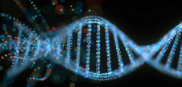 البروتين "KCTD10" يحمي الحمض النووي من خلال عملة كمنظم مرور داخل الخلية