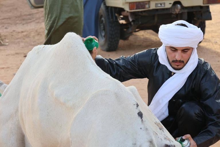 كرنفال ليبيا التراثي
