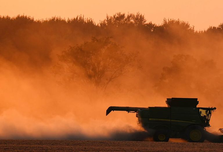 حصاد فول الصويا في المزارع الأمريكية