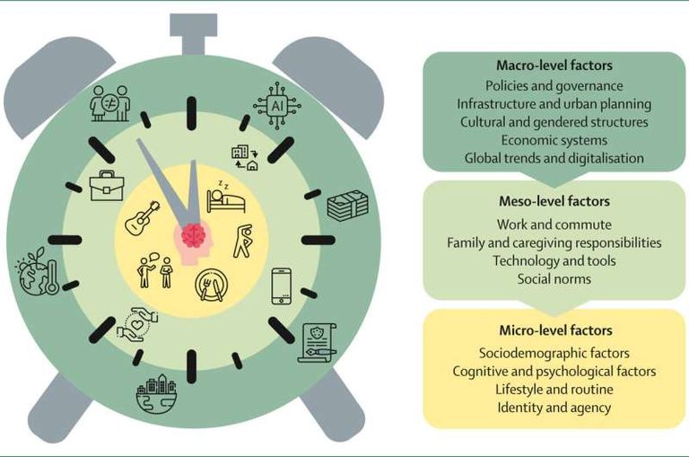 كيف يؤثر إيقاع حياتك اليومي على صحة الدماغ