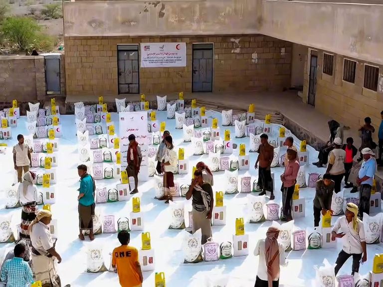 علم دولة الإمارات