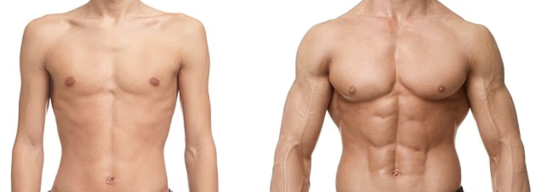 نوع اللحم الذي تتناوله بعد التمارين يحدث فارقا في نمو العضلات