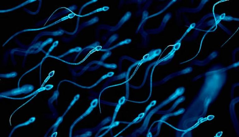 شيخوخة الحيوانات المنوية قد تنقل أمراضا للأبناء