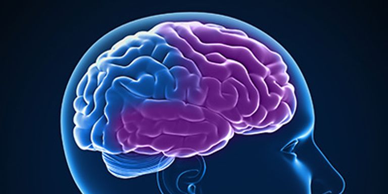 علماء جامعة نورث وسترن الأمريكية كشفوا أسرار العقول الشابة في سن الثمانين