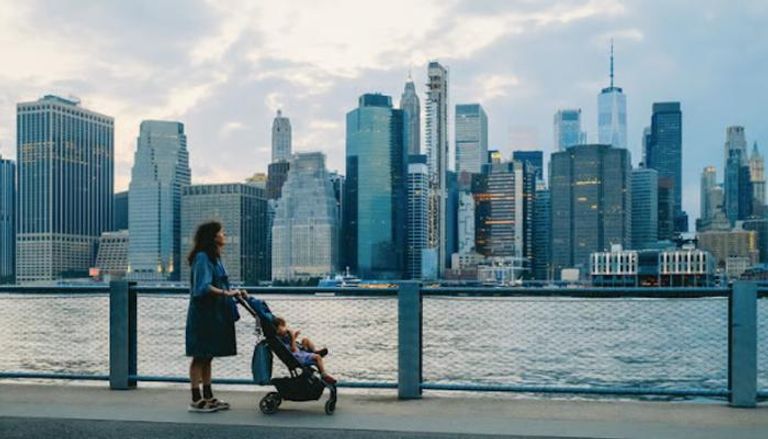 ربات البيوت في أمريكا