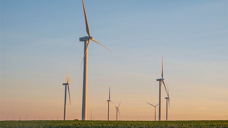 الطاقة المتجددة اليوم العالمي للطاقة