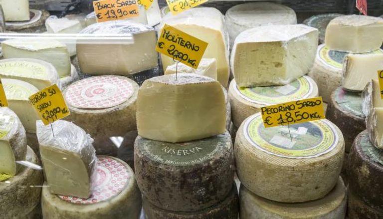 أنواع مختلف من الجبن