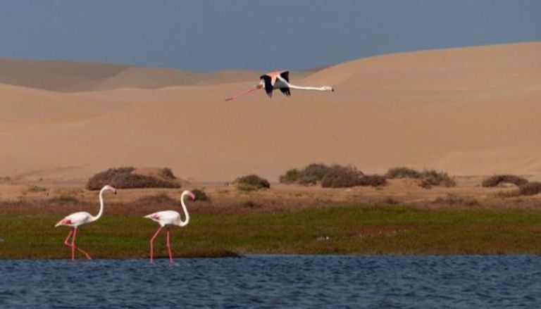 بحيرة خنيفس المغربية