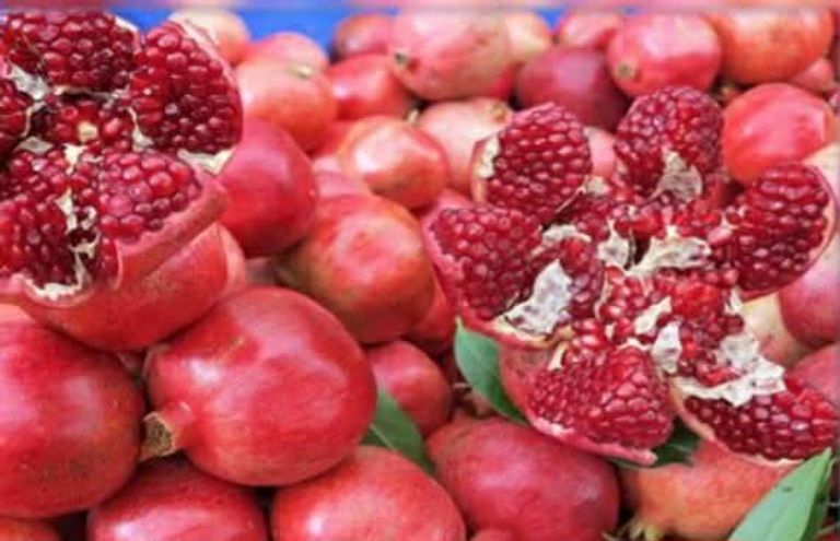 ضيعة رمان في قابس التونسية