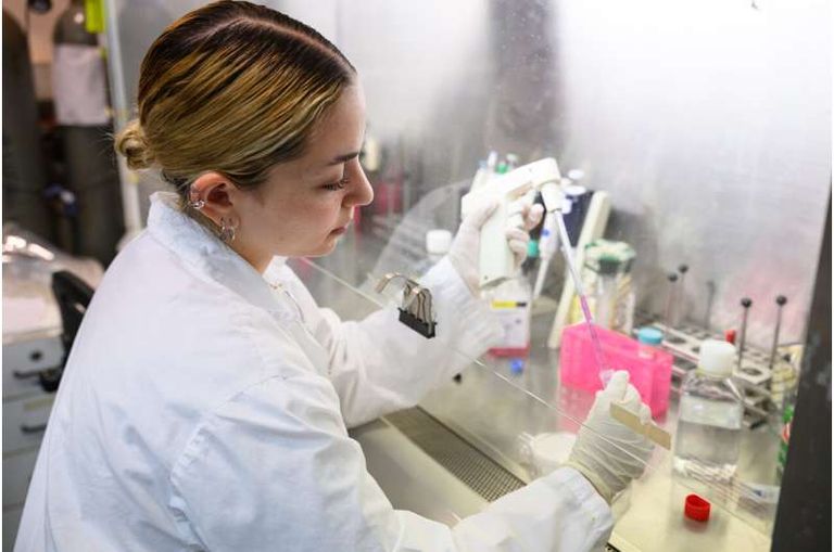 اكتشاف نوع من خلايا المناعة يتغير مع التقدم في العمر