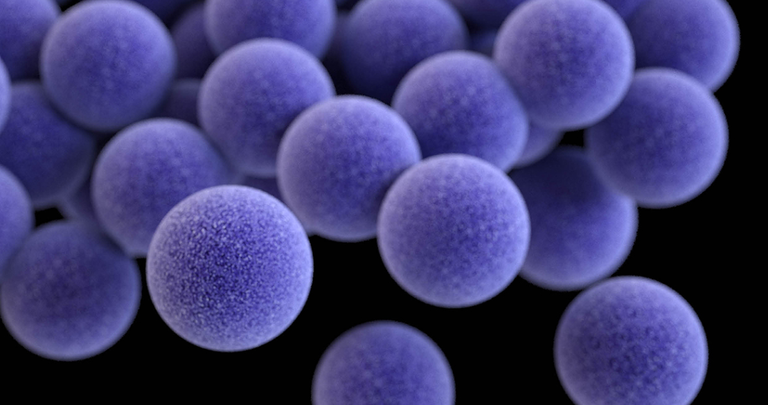 الفيروسات قد تساعد في علاج عدوى مميتة