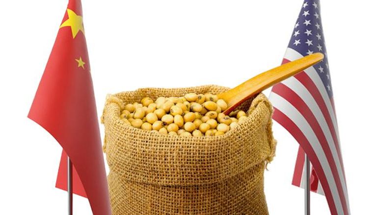 هدنة فول الصويا.. صفقة تُهدئ الحرب التجارية