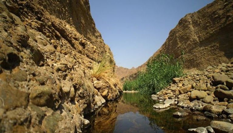 محمية وادي الوريعة الوطنية