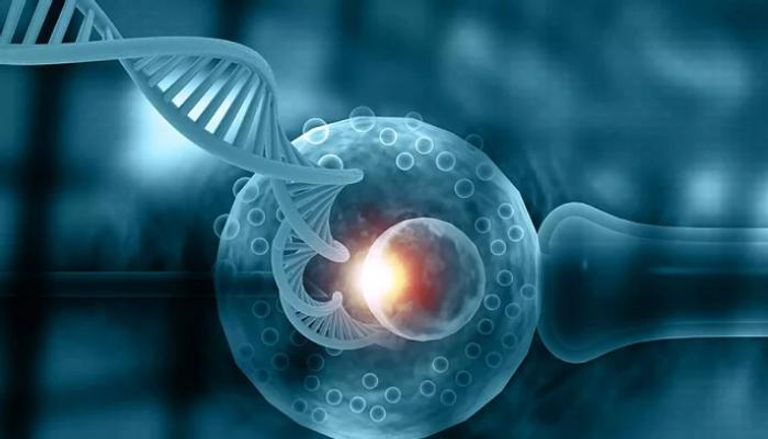 الطريقة الجديدة تعتمد على تصوير لمسح عينة السائل المنوي