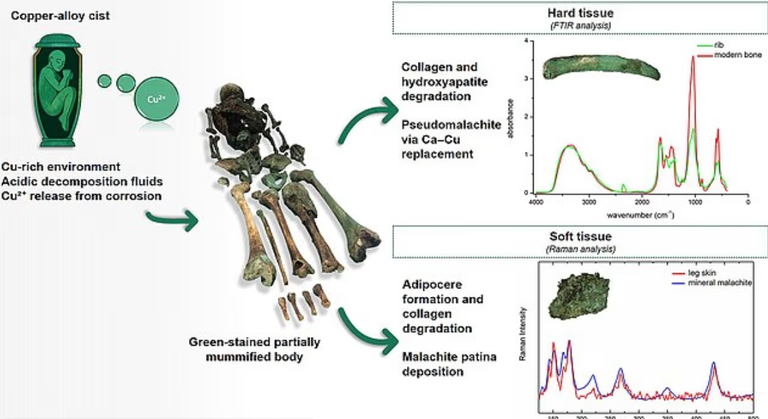 المومياء الخضراء الغامضة