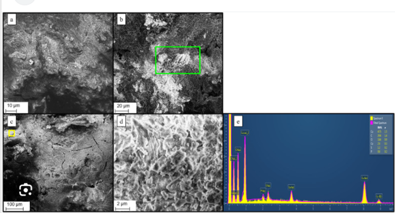 المومياء الخضراء الغامضة