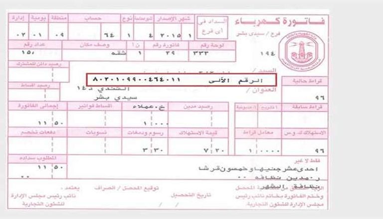 فاتورة الكهرباء في مصر